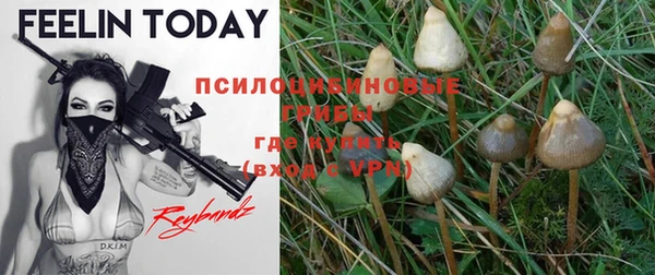 стафф Белокуриха