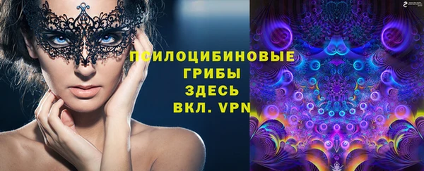 стафф Белокуриха