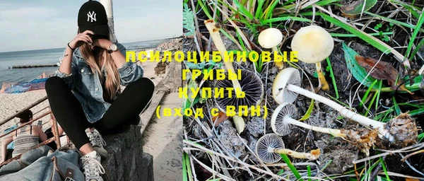 стафф Белокуриха