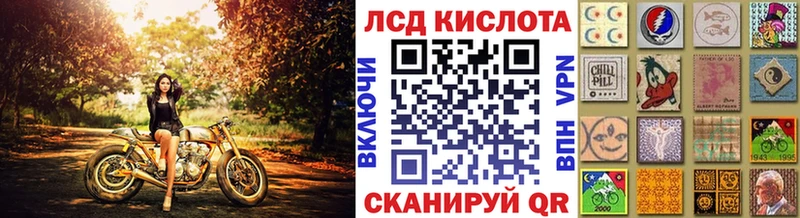 Купить закладки  Оса  Марки NBOMe 1,5мг 
