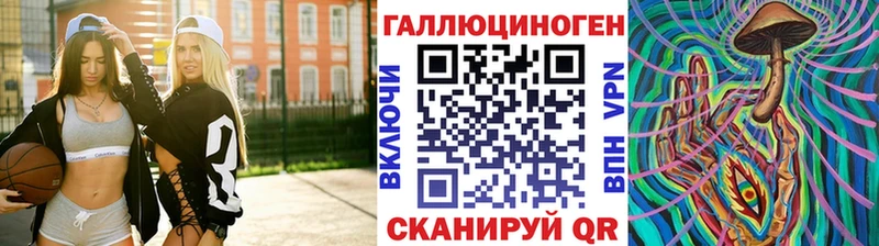 Купить где  Оса  Псилоцибиновые грибы Cubensis 